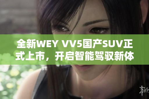 全新WEY VV5国产SUV正式上市，开启智能驾驭新体验