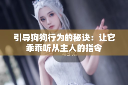 引导狗狗行为的秘诀：让它乖乖听从主人的指令