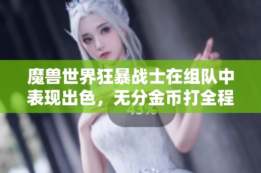 魔兽世界狂暴战士在组队中表现出色，无分金币打全程数据分析