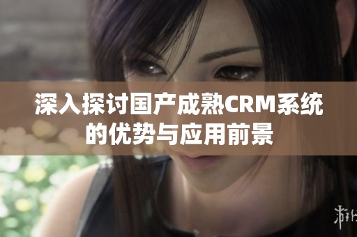 深入探讨国产成熟CRM系统的优势与应用前景