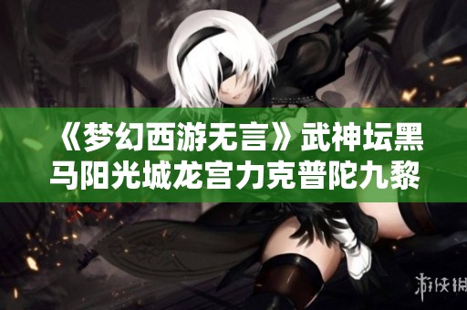 《梦幻西游无言》武神坛黑马阳光城龙宫力克普陀九黎城壮丽战绩