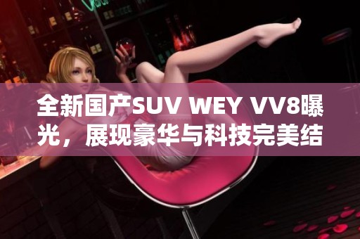 全新国产SUV WEY VV8曝光，展现豪华与科技完美结合