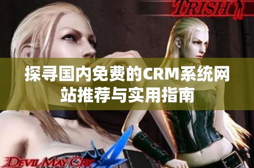 探寻国内免费的CRM系统网站推荐与实用指南