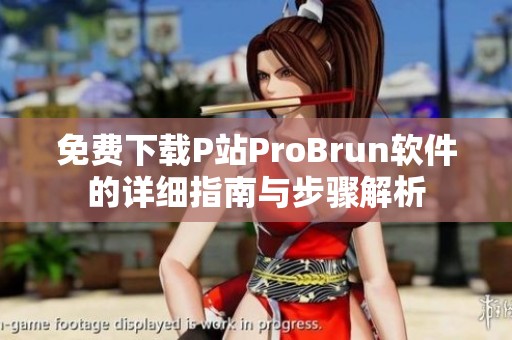 免费下载P站ProBrun软件的详细指南与步骤解析