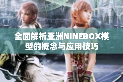 全面解析亚洲NINEBOX模型的概念与应用技巧