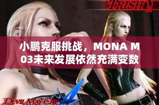 小鹏克服挑战，MONA M03未来发展依然充满变数