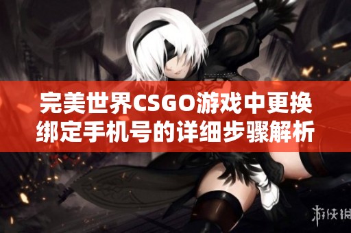 完美世界CSGO游戏中更换绑定手机号的详细步骤解析