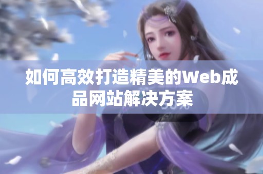 如何高效打造精美的Web成品网站解决方案