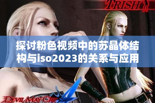 探讨粉色视频中的苏晶体结构与iso2023的关系与应用