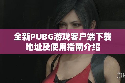 全新PUBG游戏客户端下载地址及使用指南介绍