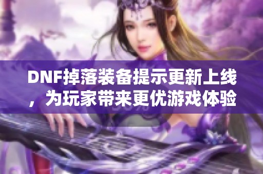 DNF掉落装备提示更新上线，为玩家带来更优游戏体验的全新利器