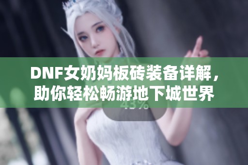 DNF女奶妈板砖装备详解，助你轻松畅游地下城世界