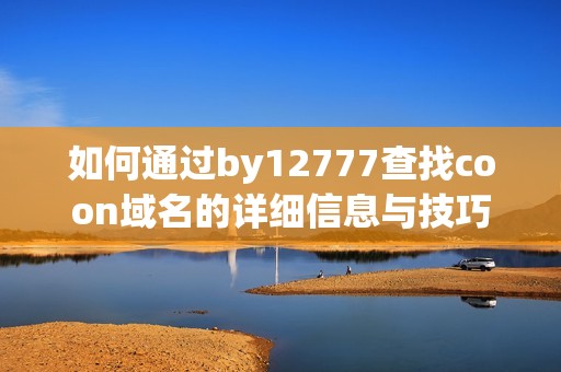 如何通过by12777查找coon域名的详细信息与技巧