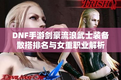 DNF手游剑豪流浪武士装备散搭排名与女重职业解析