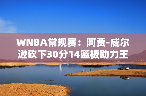 WNBA常规赛：阿贾-威尔逊砍下30分14篮板助力王牌大胜天空队