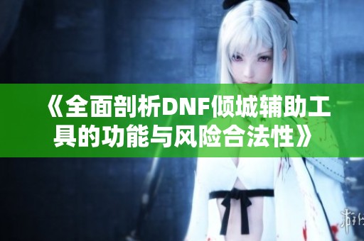 《全面剖析DNF倾城辅助工具的功能与风险合法性》