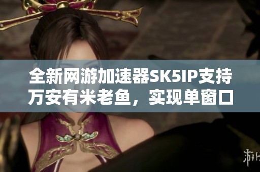 全新网游加速器SK5IP支持万安有米老鱼，实现单窗口IP重写功能