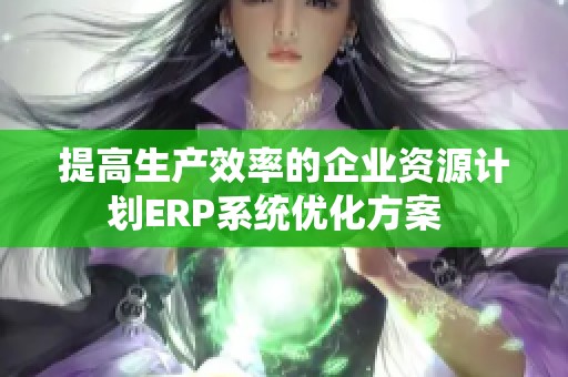 提高生产效率的企业资源计划ERP系统优化方案  