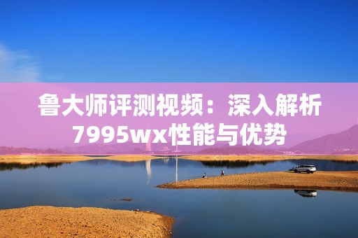 鲁大师评测视频：深入解析7995wx性能与优势