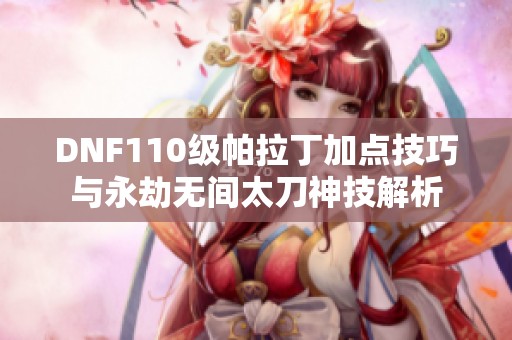 DNF110级帕拉丁加点技巧与永劫无间太刀神技解析