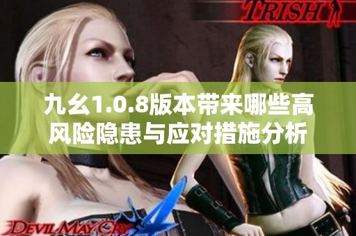 九幺1.0.8版本带来哪些高风险隐患与应对措施分析