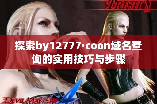 探索by12777·coon域名查询的实用技巧与步骤