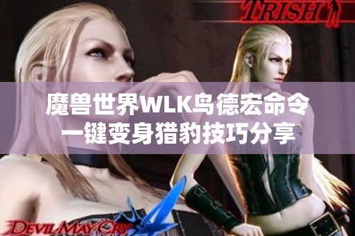 魔兽世界WLK鸟德宏命令一键变身猎豹技巧分享