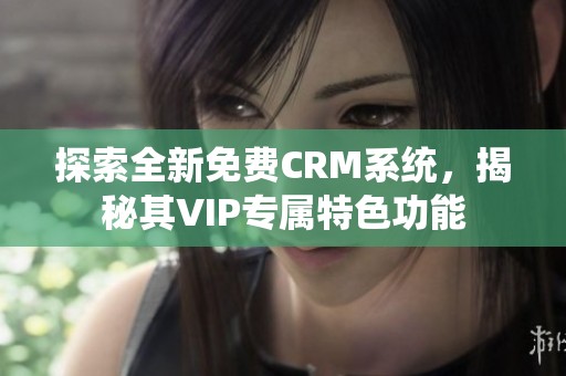 探索全新免费CRM系统，揭秘其VIP专属特色功能