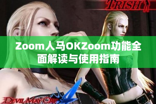 Zoom人马OKZoom功能全面解读与使用指南