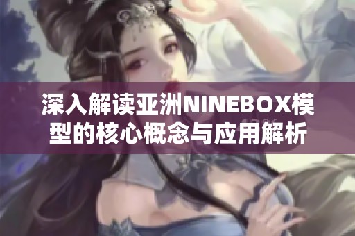 深入解读亚洲NINEBOX模型的核心概念与应用解析