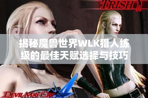 揭秘魔兽世界WLK猎人练级的最佳天赋选择与技巧