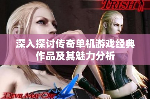 深入探讨传奇单机游戏经典作品及其魅力分析