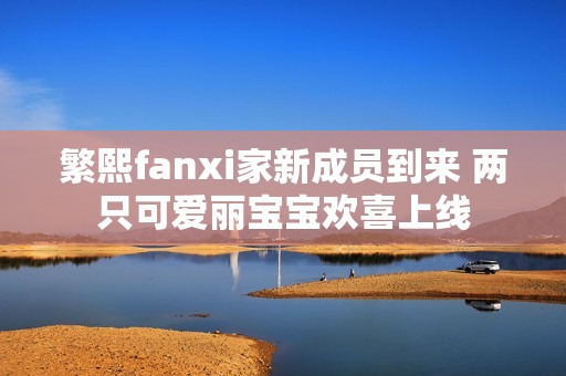 繁熙fanxi家新成员到来 两只可爱丽宝宝欢喜上线