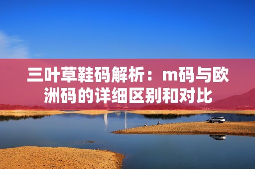 三叶草鞋码解析：m码与欧洲码的详细区别和对比