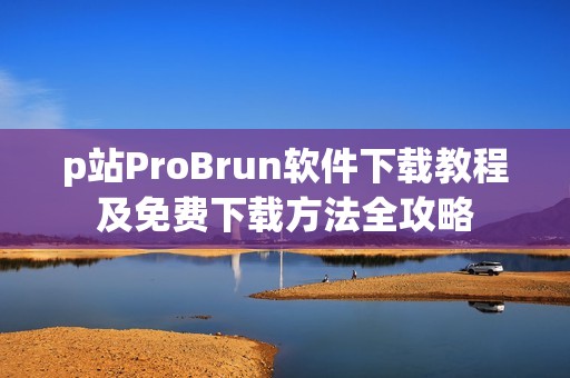 p站ProBrun软件下载教程及免费下载方法全攻略