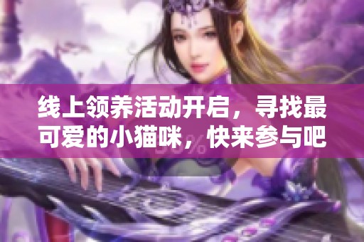 线上领养活动开启，寻找最可爱的小猫咪，快来参与吧！