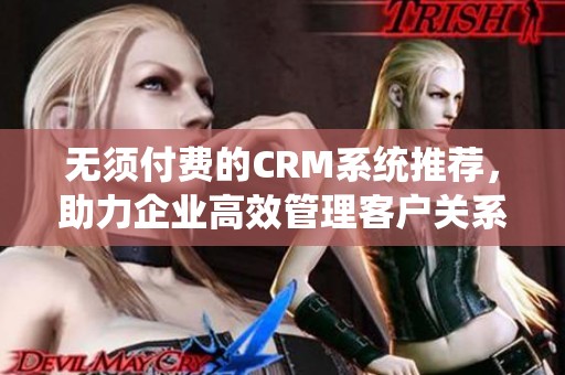 无须付费的CRM系统推荐，助力企业高效管理客户关系