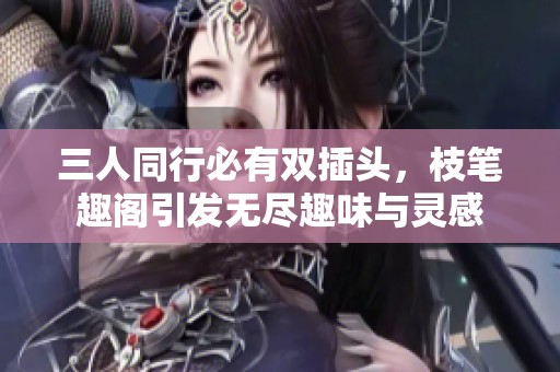 三人同行必有双插头，枝笔趣阁引发无尽趣味与灵感