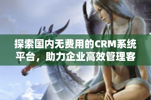 探索国内无费用的CRM系统平台，助力企业高效管理客户关系