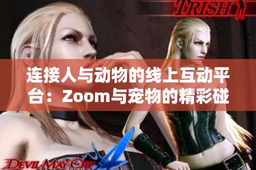 连接人与动物的线上互动平台：Zoom与宠物的精彩碰撞