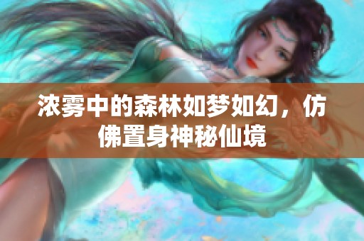 浓雾中的森林如梦如幻，仿佛置身神秘仙境