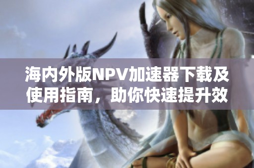 海内外版NPV加速器下载及使用指南，助你快速提升效率