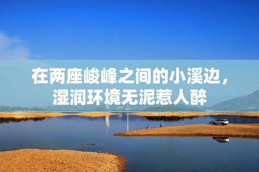 在两座峻峰之间的小溪边，湿润环境无泥惹人醉