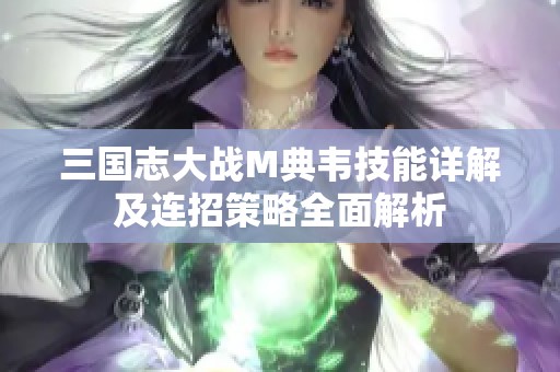 三国志大战M典韦技能详解及连招策略全面解析